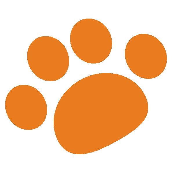 Orange Dog Paws