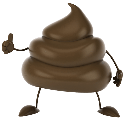 Dog Poop cleaning services