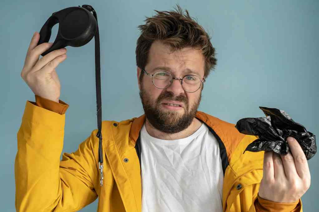 Annoyed man holds leash and dog poop bag. Squeamish owner does not want to walk with pet